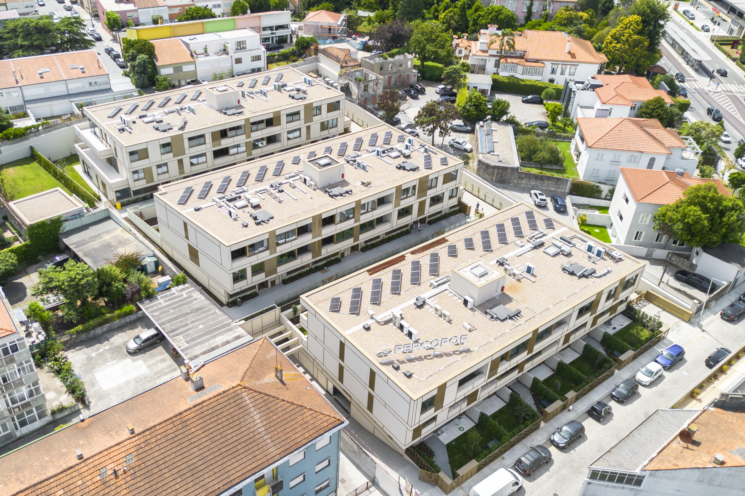 DJI_0231